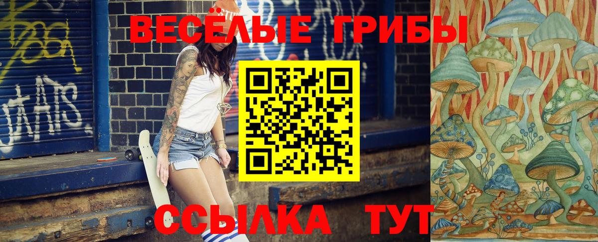 Псилоцибиновые грибы Psilocybine cubensis  Вход с VPN  Кимовск 